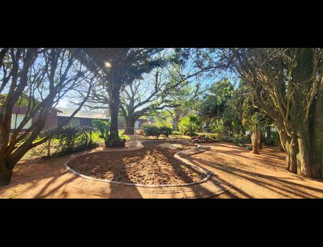 FARM FOR SALE IN WITFONTEIN
